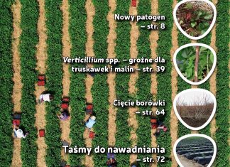 Jagodnik 1/2020 już w sprzedaży