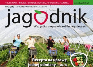 Jagodnik 2/2020 – już w sprzedaży