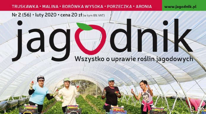 Jagodnik 2/2020 – już w sprzedaży