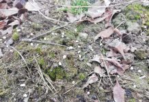 Jest zgoda na dopłaty do nawozów. Kiedy składać wnioski?