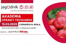 Akademia Uprawy Truskawek w Czerwińsku nad Wisłą – już 15 marca