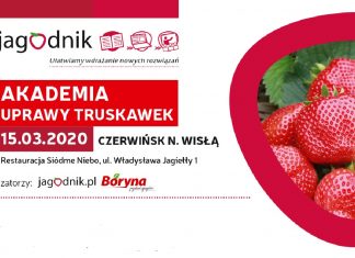 Akademia Uprawy Truskawek w Czerwińsku nad Wisłą – już 15 marca