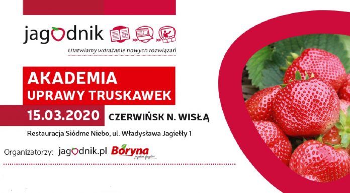 Akademia Uprawy Truskawek w Czerwińsku nad Wisłą – już 15 marca