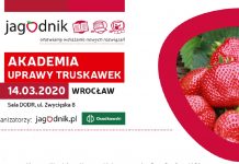 Akademia Uprawy Truskawek we Wrocławiu już 14 marca