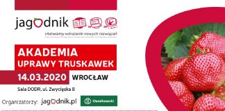 Akademia Uprawy Truskawek we Wrocławiu już 14 marca