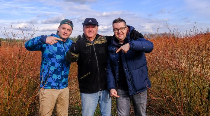 Różne style cięcia borówki i wymiana doświadczeń. 3 dzień Międzynarodowej Konferencji Borówkowej 2020. FILM