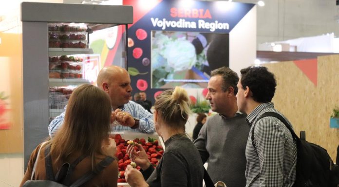 Gotowi na sprzedaż jagodowych