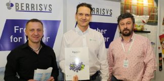 Berrisys – nowe rozwiązanie do wydłużenia shelf-life borówki