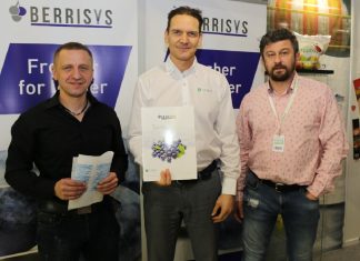 Berrisys – nowe rozwiązanie do wydłużenia shelf-life borówki