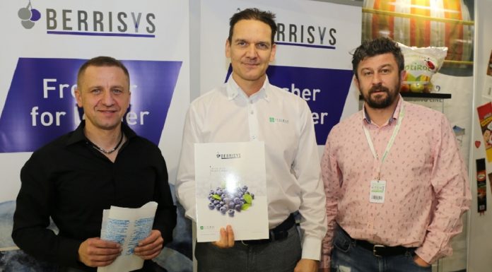 Berrisys – nowe rozwiązanie do wydłużenia shelf-life borówki