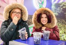 Wspólne standardy, wysoka jakość i sukcesy na międzynarodowej senie. PBC świętuje 5 lat działalności!