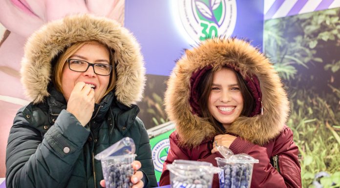 Wspólne standardy, wysoka jakość i sukcesy na międzynarodowej senie. PBC świętuje 5 lat działalności!