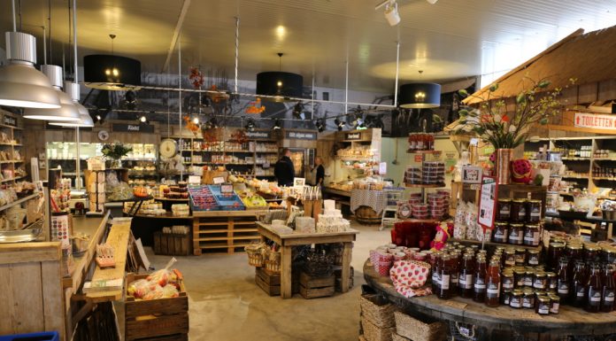 Nabór na rozwój małych gospodarstw – 120 tys. zł wsparcie od października