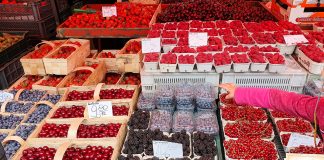 Polacy nie jedzą wystarczająco owoców i warzyw