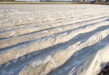 Weekend pod znakiem przymrozków. IMiGW wydał ostrzeżenie pierwszego stopnia