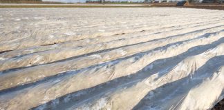 Weekend pod znakiem przymrozków. IMiGW wydał ostrzeżenie pierwszego stopnia