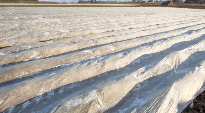 Weekend pod znakiem przymrozków. IMiGW wydał ostrzeżenie pierwszego stopnia