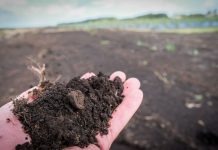 Akademia Poprawy Żyzności Gleby. Cz. I Materia organiczna i próchnica glebowa