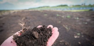 Akademia Poprawy Żyzności Gleby. Cz. I Materia organiczna i próchnica glebowa