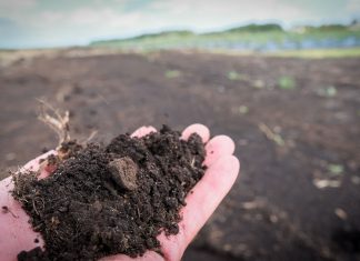 Akademia Poprawy Żyzności Gleby. Cz. I Materia organiczna i próchnica glebowa