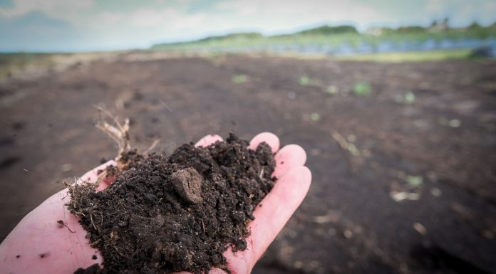 Akademia Poprawy Żyzności Gleby. Cz. I Materia organiczna i próchnica glebowa