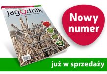 Jagodnik 4/2020 – już w sprzedaży