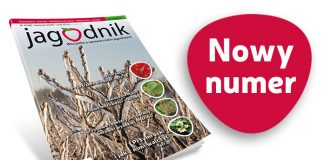 Jagodnik 4/2020 – już w sprzedaży