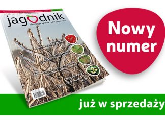 Jagodnik 4/2020 – już w sprzedaży