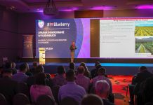 Czy ZMIANY są potrzebne? Międzynarodowa Konferencja Borówkowa 2020