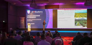 Czy ZMIANY są potrzebne? Międzynarodowa Konferencja Borówkowa 2020