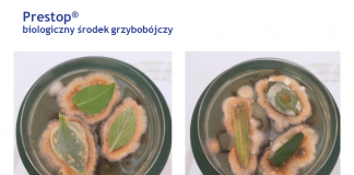 Nowe możliwości uprawy truskawek bez pozostałości