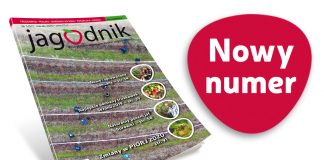 Jagodnik 3/2020 – już w sprzedaży