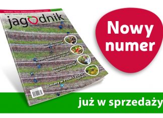 Jagodnik 3/2020 – już w sprzedaży