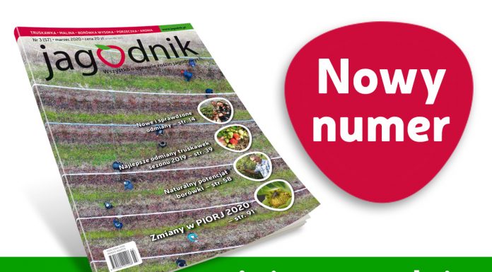 Jagodnik 3/2020 – już w sprzedaży