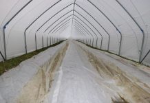 Uwaga na przymrozki!