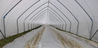 Uwaga na przymrozki!