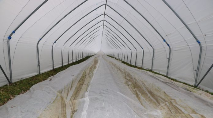 Uwaga na przymrozki!