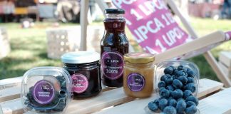 Dotacje na małe przetwórstwo i RHD