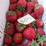 Nowe rozwiązanie przeciwko szarej pleśni truskawki