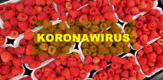 Koronawirus może mieć wpływ na branżę agro. Analiza sytuacji