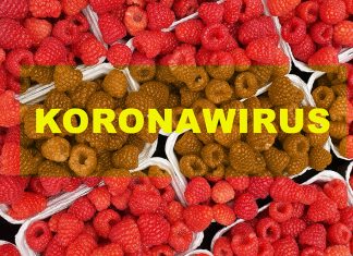 Koronawirus może mieć wpływ na branżę agro. Analiza sytuacji