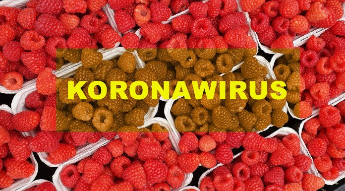 Koronawirus może mieć wpływ na branżę agro. Analiza sytuacji