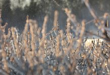 Trwa okres sprzedaży ubezpieczeń. Co warto wiedzieć?