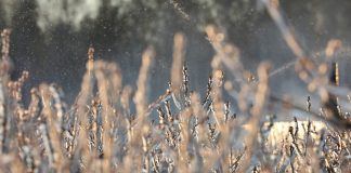 Trwa okres sprzedaży ubezpieczeń. Co warto wiedzieć?