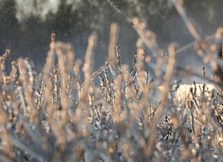 Trwa okres sprzedaży ubezpieczeń. Co warto wiedzieć?