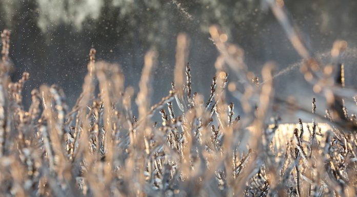 Trwa okres sprzedaży ubezpieczeń. Co warto wiedzieć?