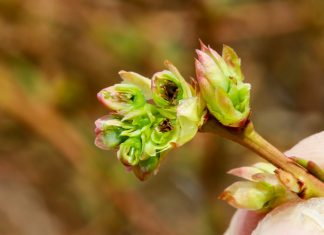 Znamy szczegóły pomocy dla rolników dotkniętych klęskami żywiołowymi. Nawet 3000 zł do hektara