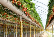 Najlepsza praca na świecie