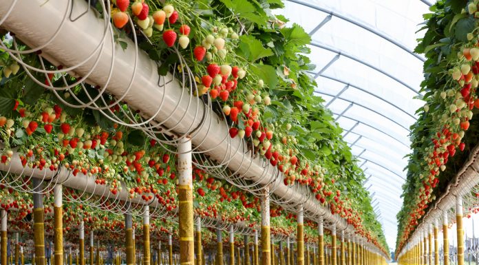 Najlepsza praca na świecie