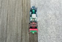 Akademia Poprawy Żyzności Gleby, cz. II – Jak powstaje próchnica